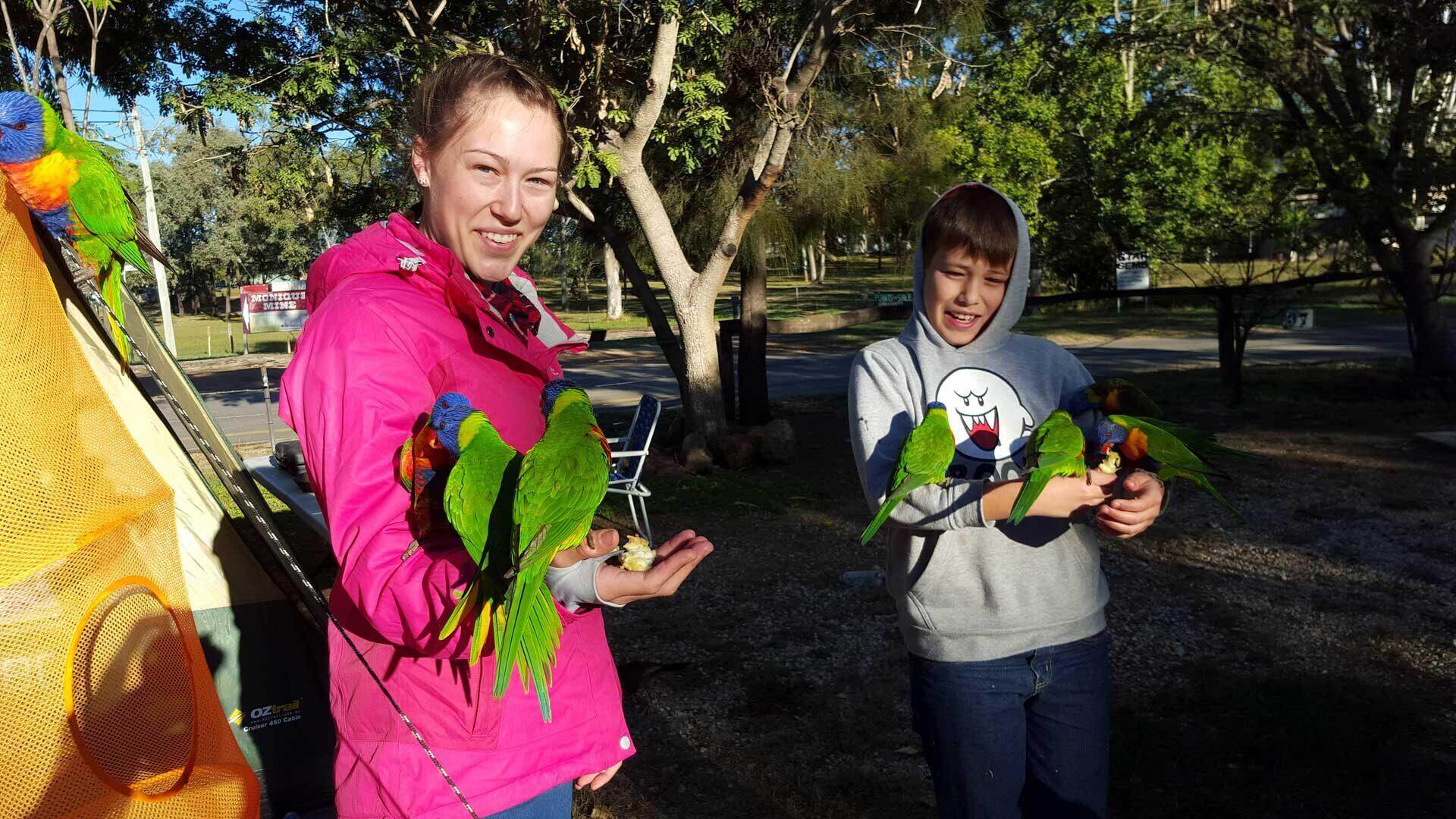 Bird feeding
