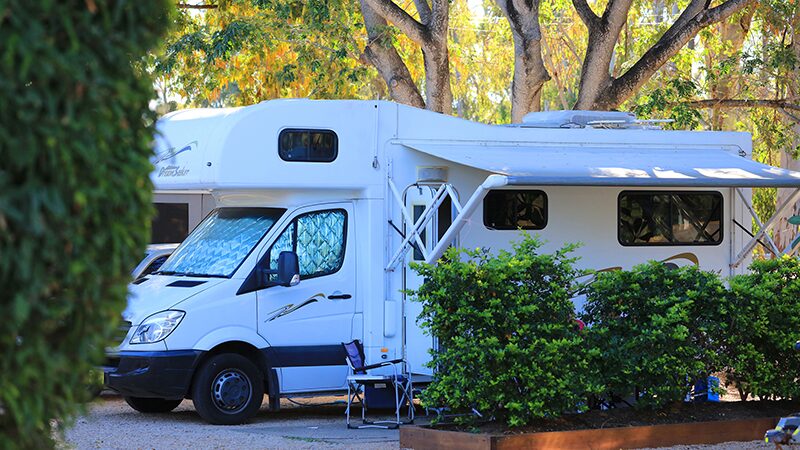Shady grounds at Rubyvale Caravan Park